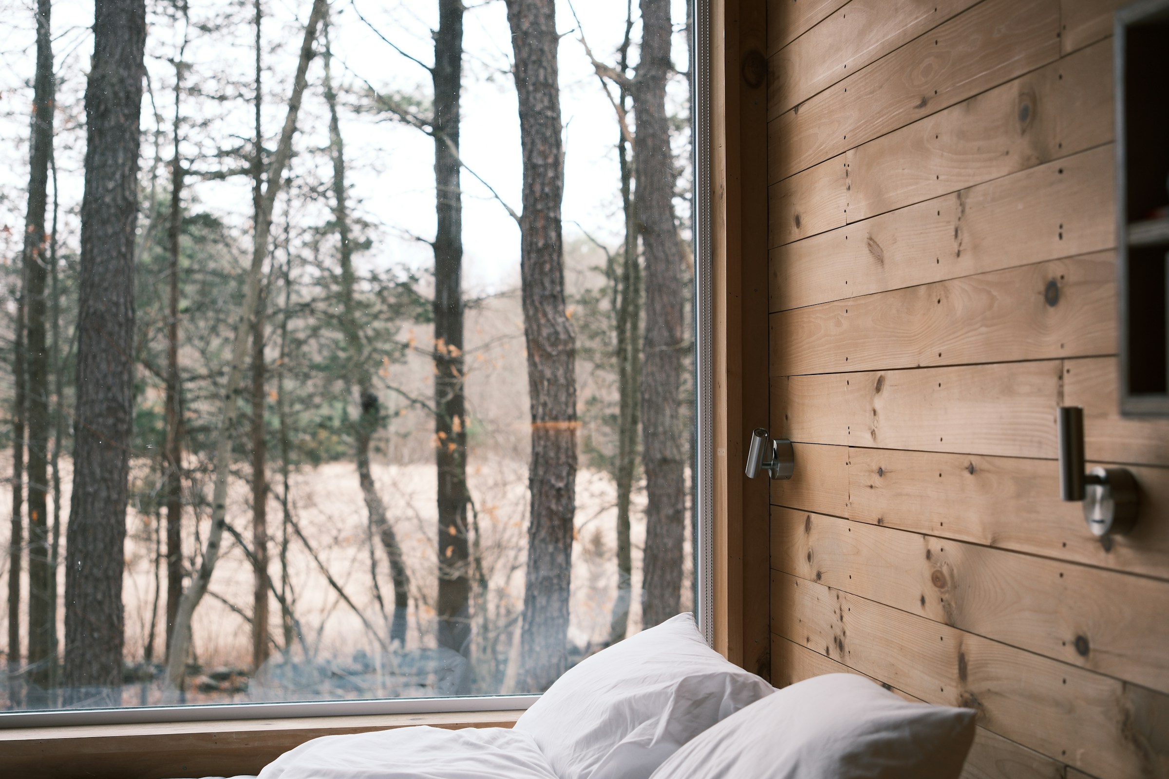 White pillows against a pine-panelled cabin wall beside a floor-to-ceiling window onto a forest.